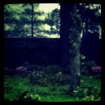 afterirene